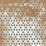 تایلا - تصویر 6