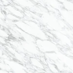 CL-009