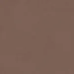 کاشی داست اند لایت