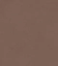 کاشی داست اند لایت