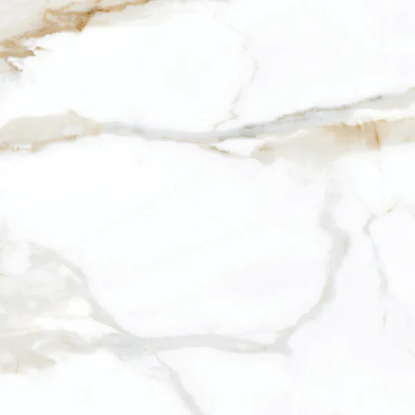 کاشی نائومی