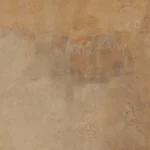 تایلا