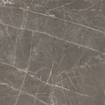 کامن - Image 2