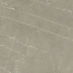 کامن - Image 9