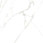 کاشی تایگر